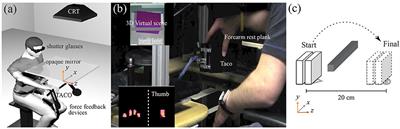 Role of Tactile Noise in the Control of Digit Normal Force
